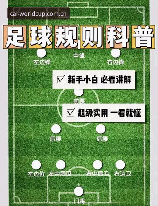 世界杯体彩竞猜规则详解：从入门到精通的全方位指南